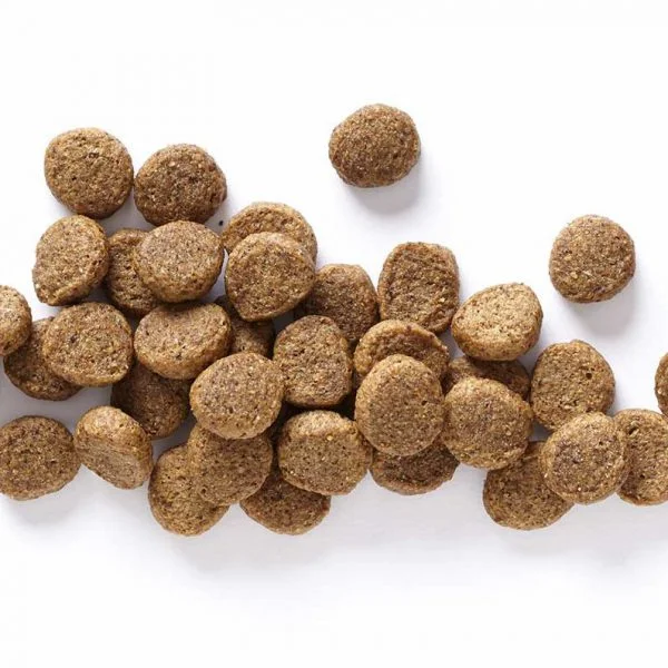 Lamb and rice dog food